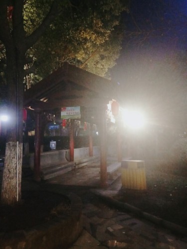石羊公园旅行图片 1
