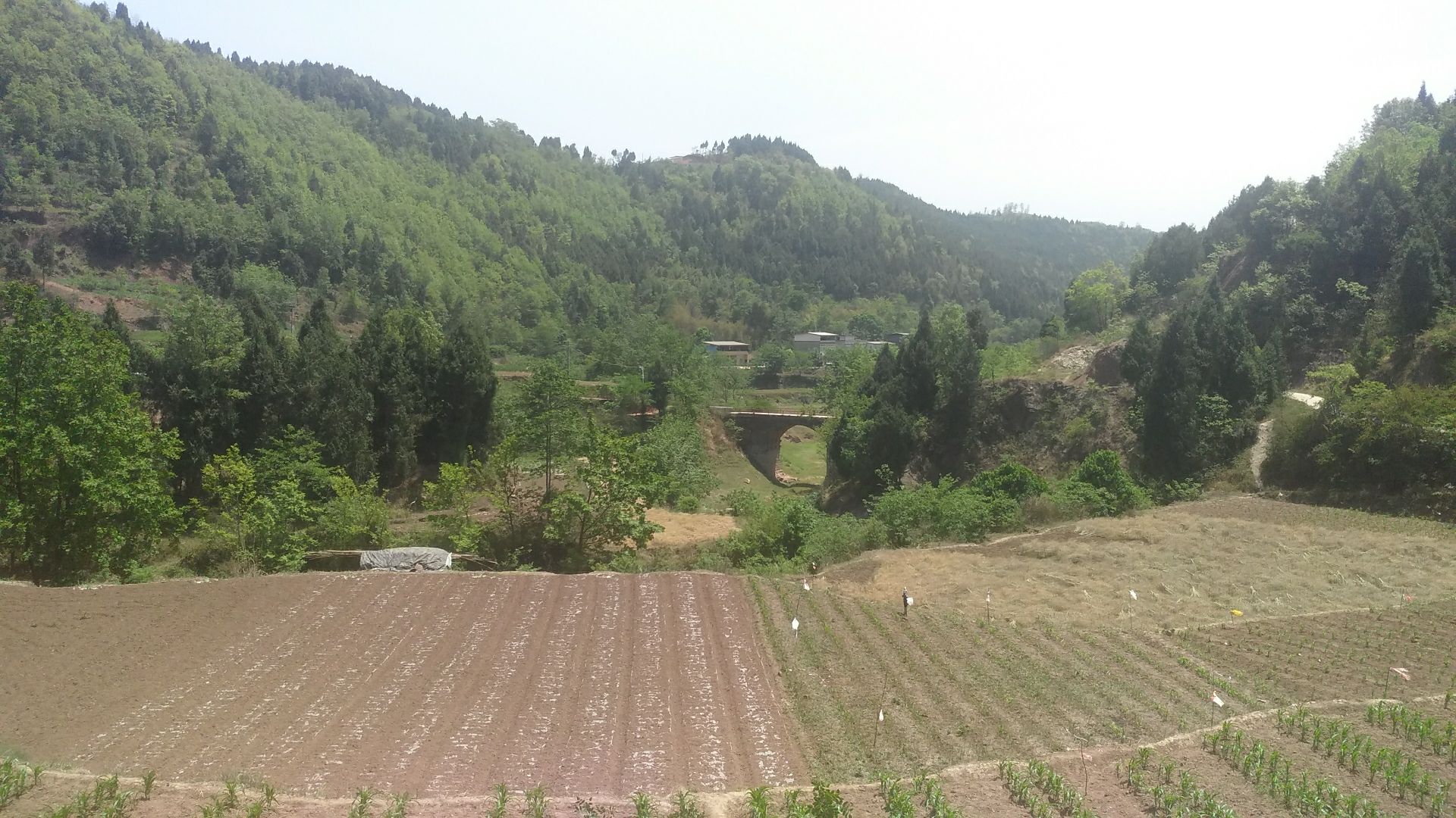 白马寺实景照片