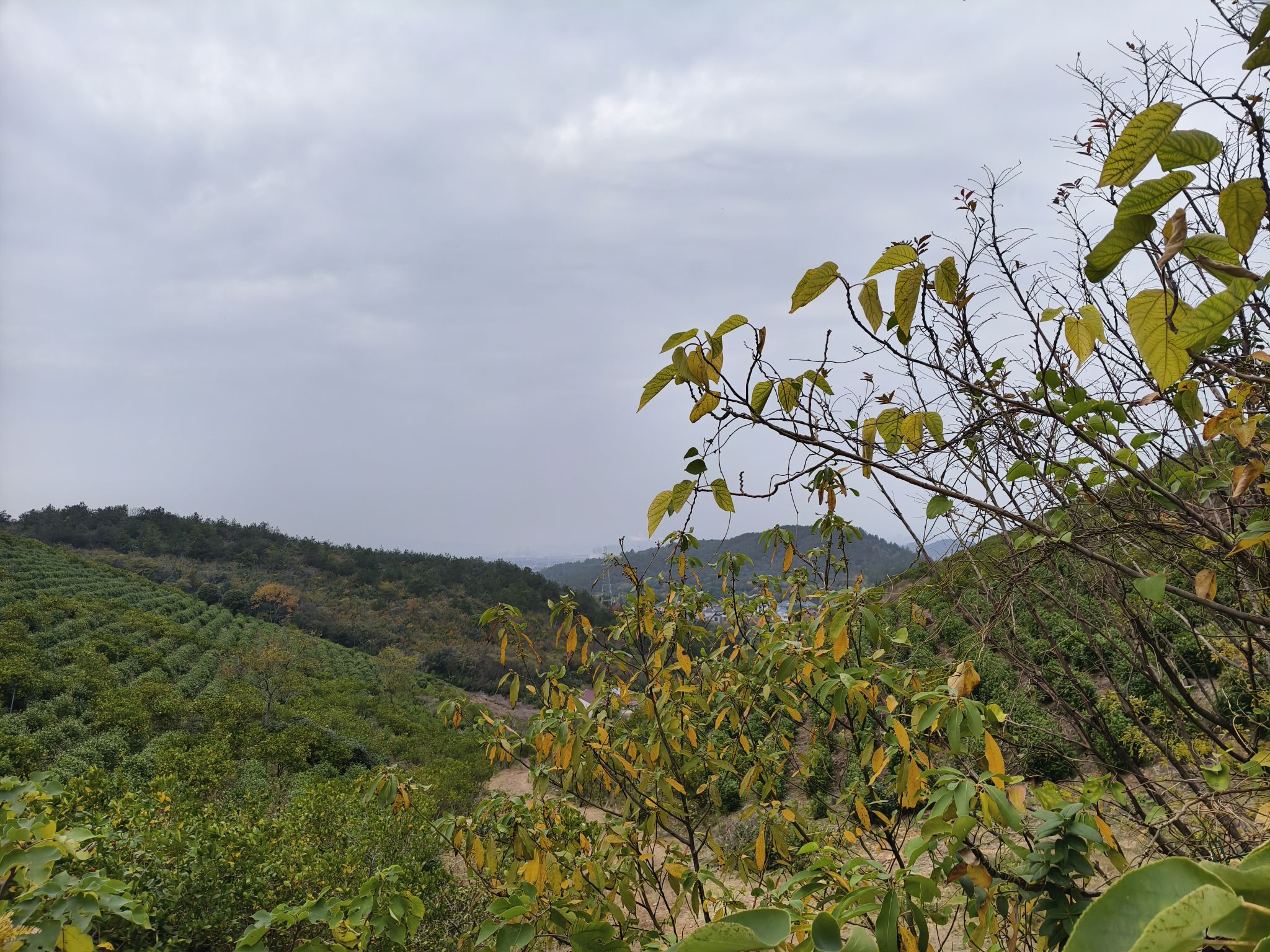地洞寺实景照片