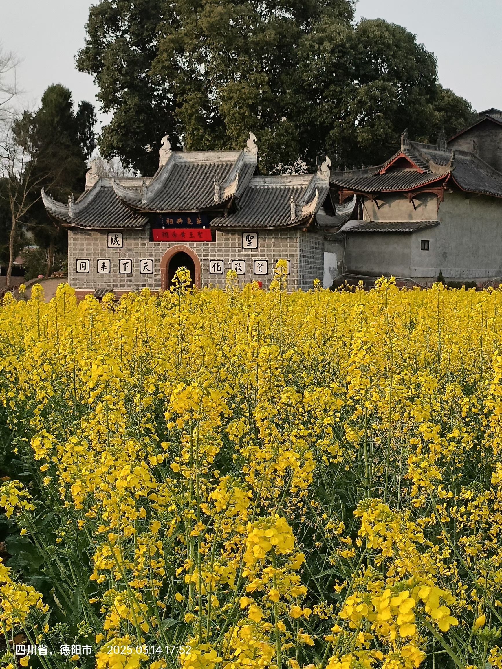聖王黄帝祠实景照片