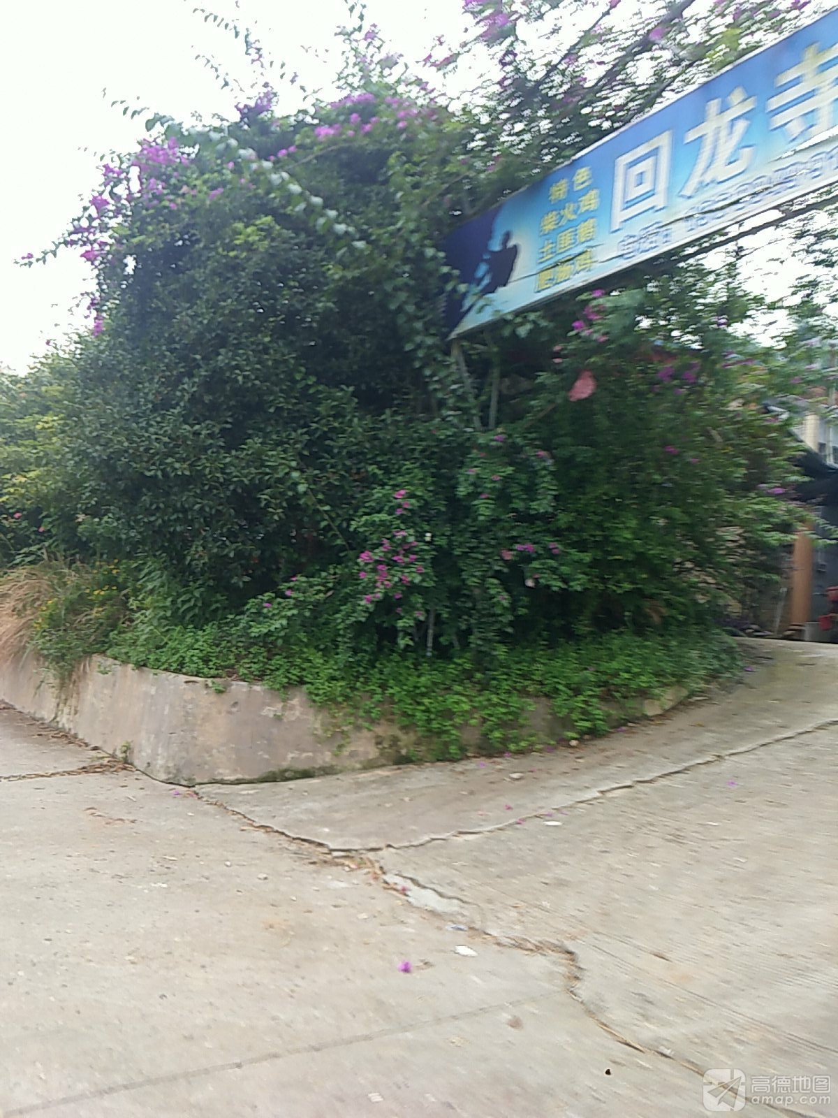 回龙寺实景照片