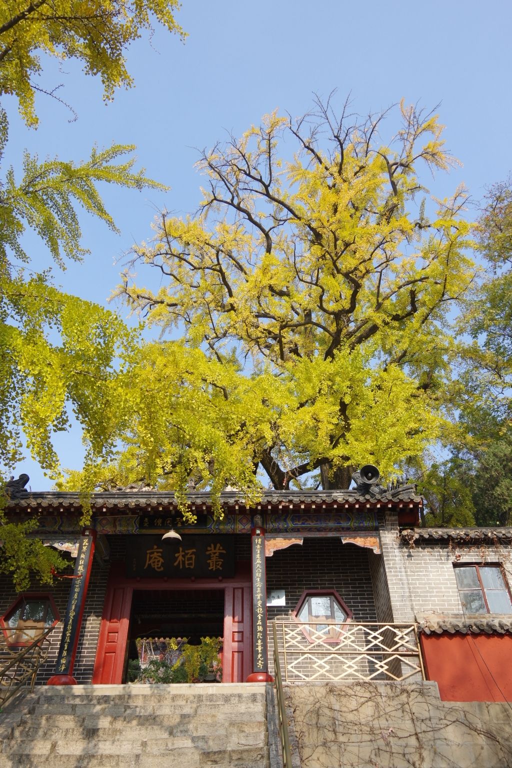 丛柏庵实景照片