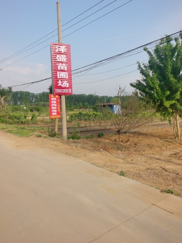 泽盛苗圃场