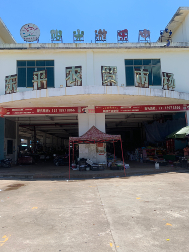 东平农贸市场