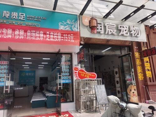 龍贵足