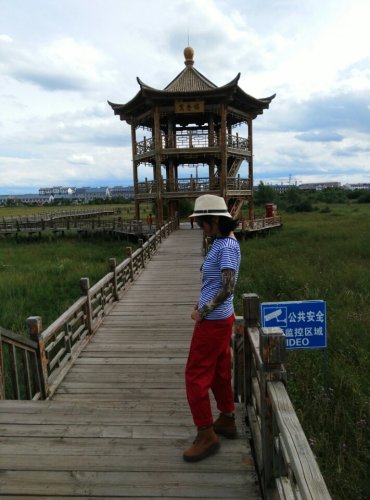 湿地公园旅行图片 1