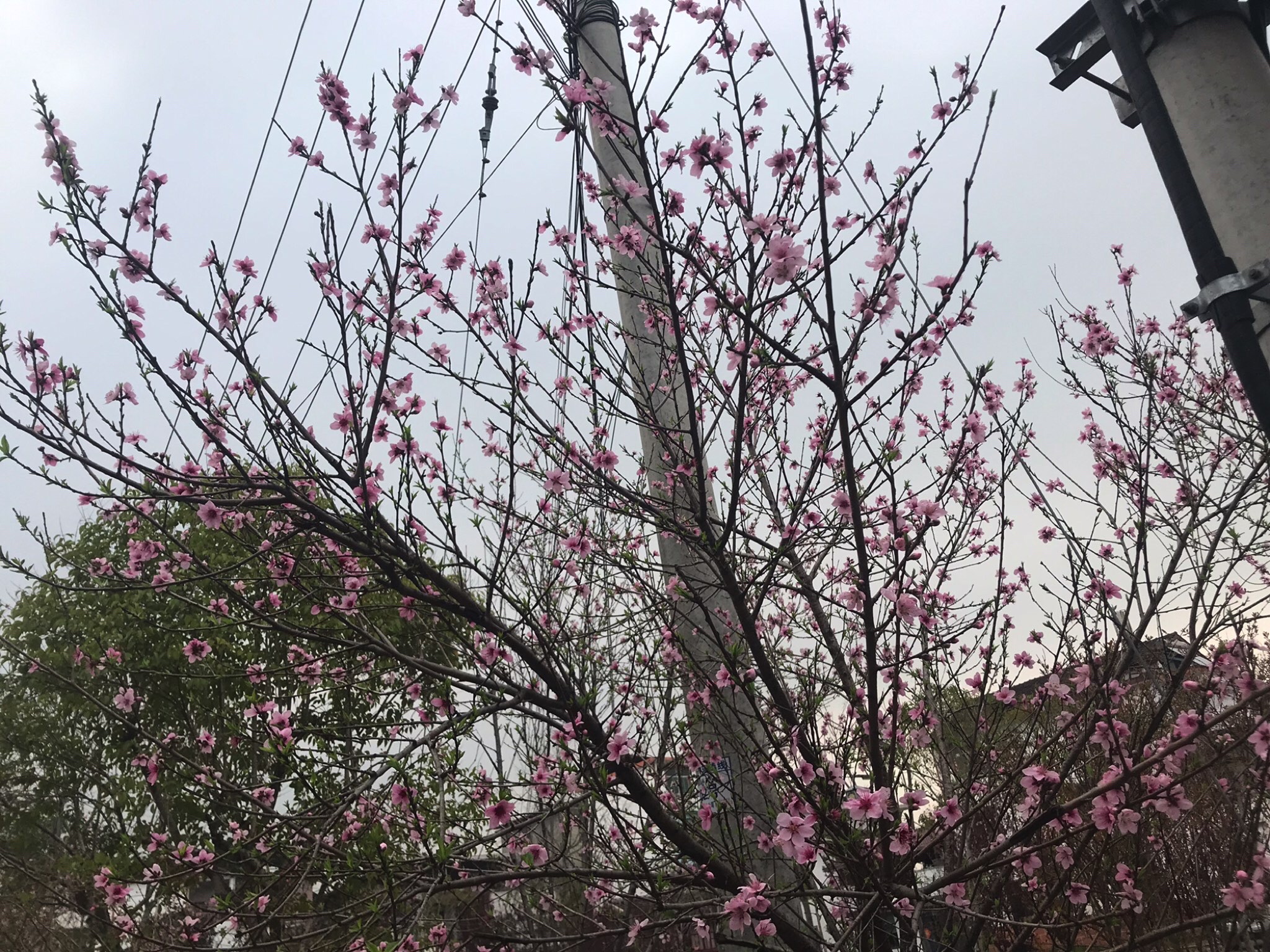 瑶浦三仙行宫实景照片