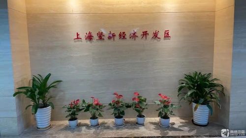 上海竖新经济开发区实景图