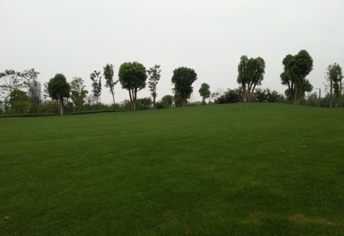 重庆永川中央公园旅行图片 3