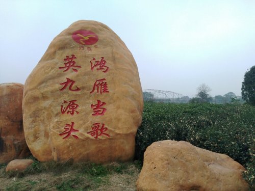 英德茶叶世界旅行图片 2