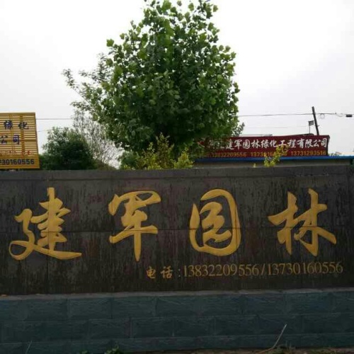 河北建军园林绿化工程有限公司