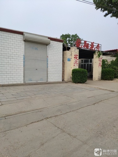 龙翔花卉