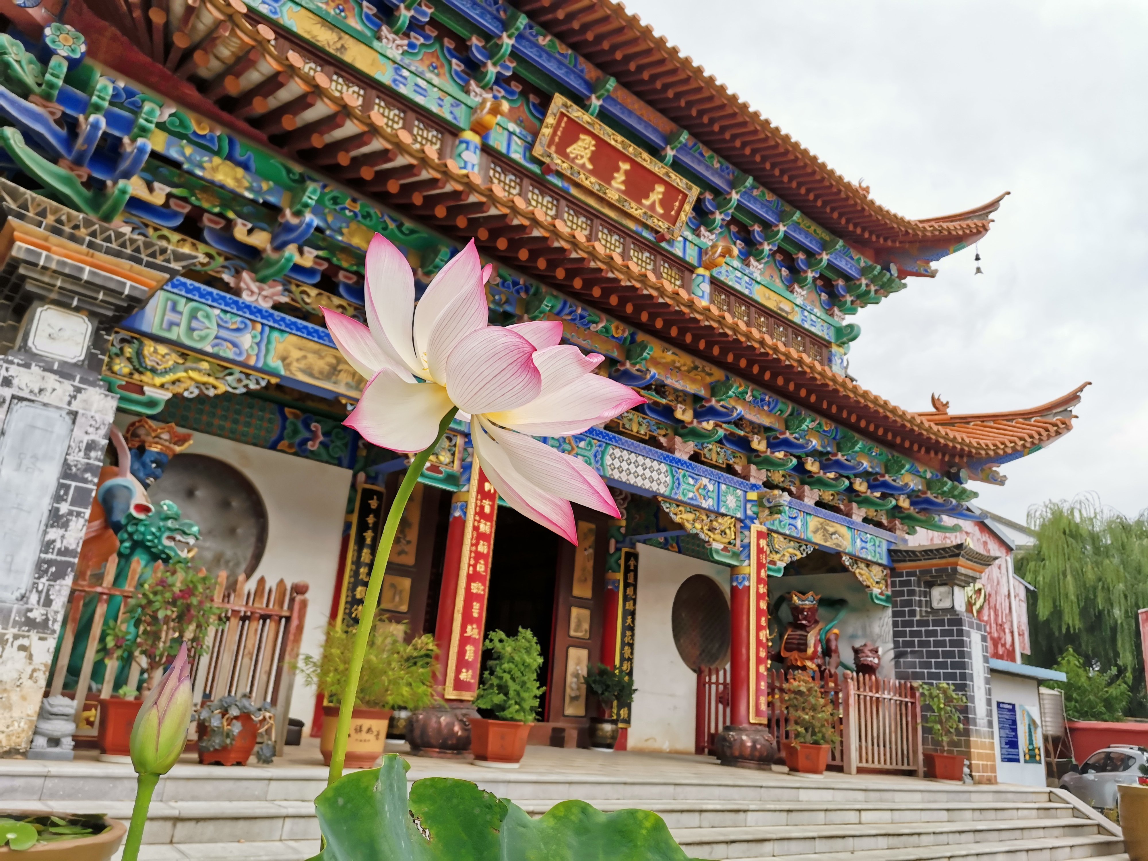 金莲寺实景照片