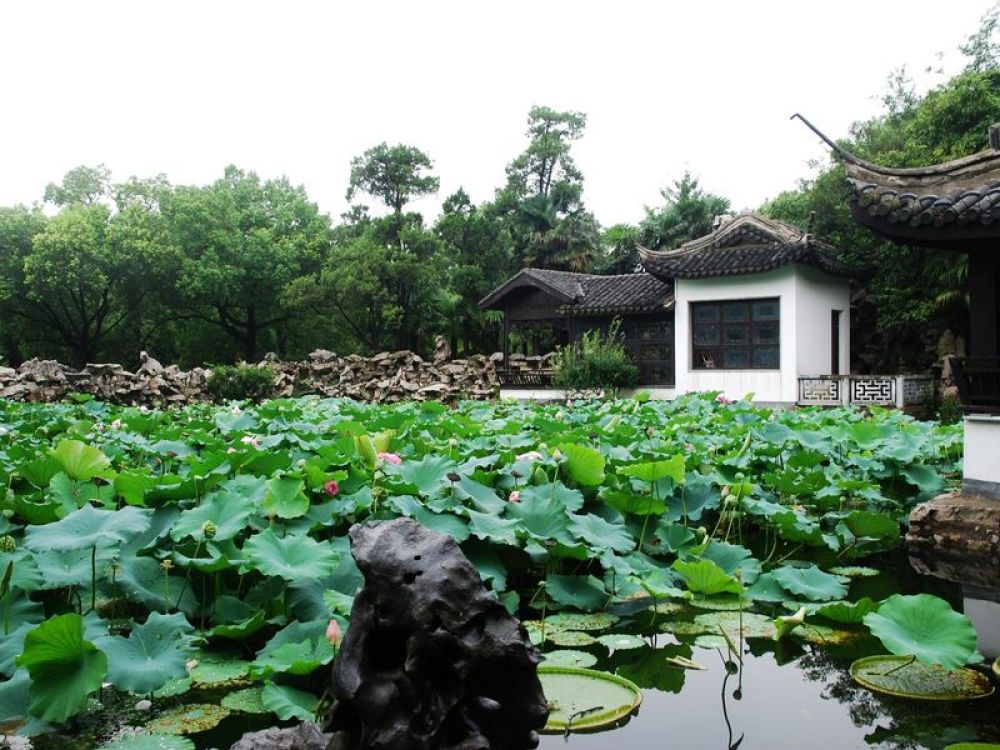 蠡园景点图片