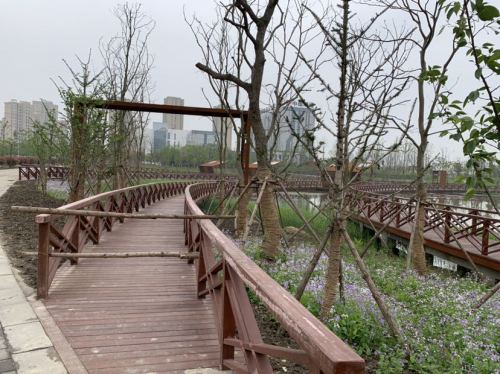 芜湖市政务中心绿廊旅行图片 3