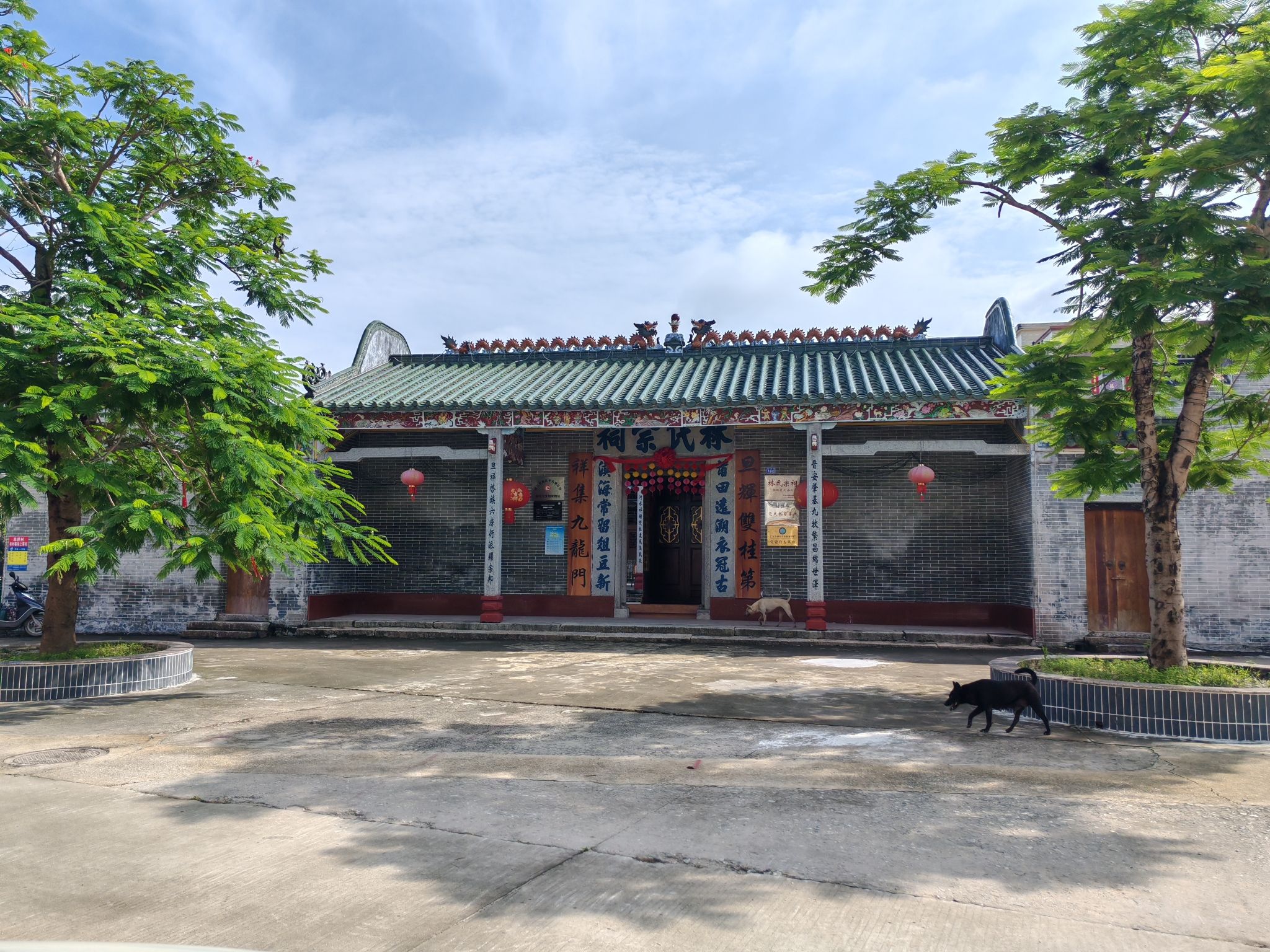 林氏宗祠(疍场农会旧址)实景照片