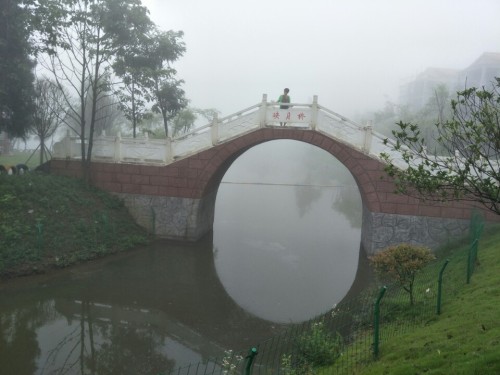 仙池纳里天池湿地公园旅行图片 1