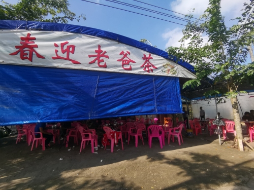 春迎老爸茶