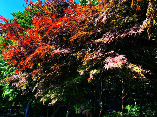齐山植物公园旅行图片 2