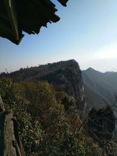 大沙河银杉自然保护区旅行图片 3