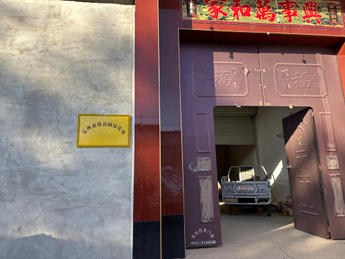 定州森博苗圃绿化场