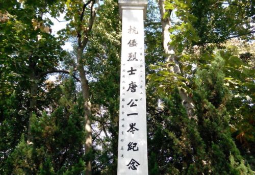 上海金鳌山旅行图片 2