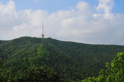 惠山国家森林公园-清净道场