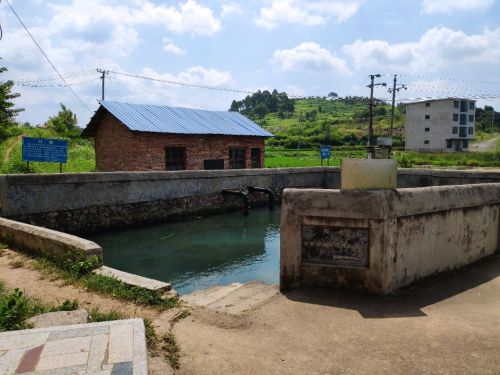 大井堰古井旅行图片 1