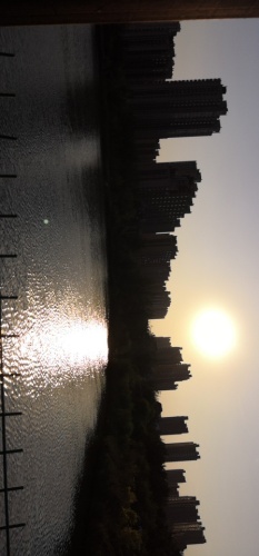 双金公园旅行图片 3