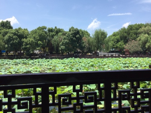 泮池园旅行图片