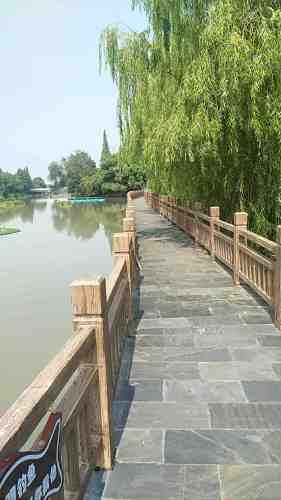 桐乡市大麻镇海华村苕溪公园旅行图片 1