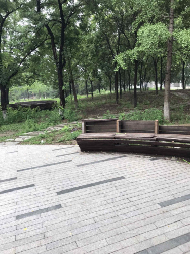 科丰公园旅行图片 3