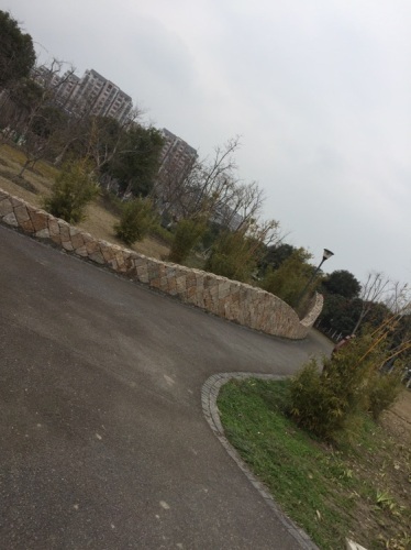 善爱园旅行图片 3