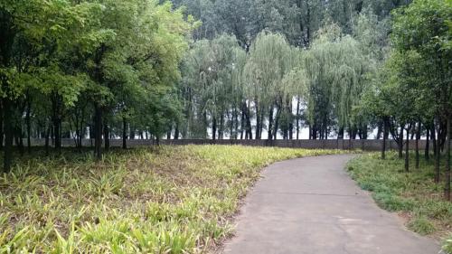 税企友谊林旅行图片 2