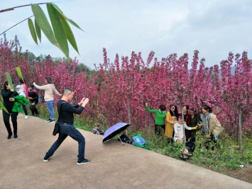 雅安市凤鸣花谷生态农业观光园旅行图片 1