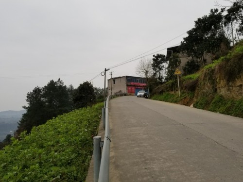涂家祠堂旅行图片 3