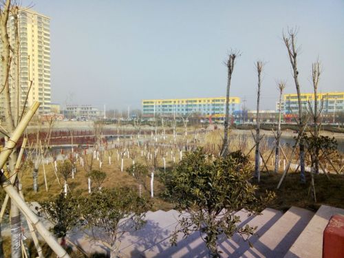 玉心湖公园旅行图片 2
