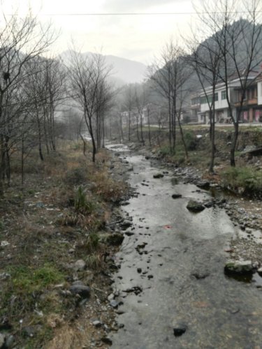 龙眠寨旅行图片 2