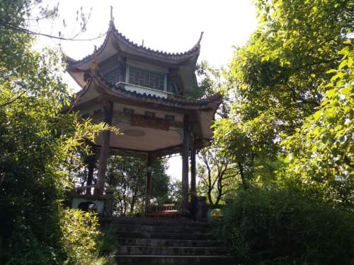 西屏山公园旅行图片 1
