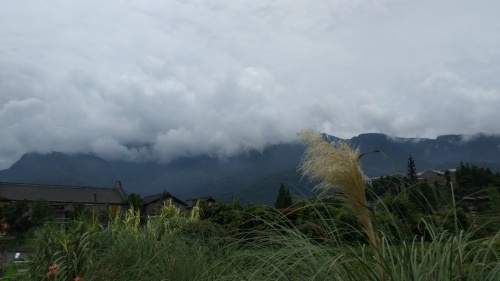 中国藏茶村旅行图片
