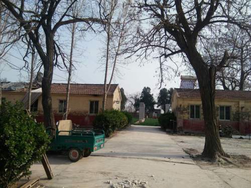 森罗殿遗址旅行图片 3