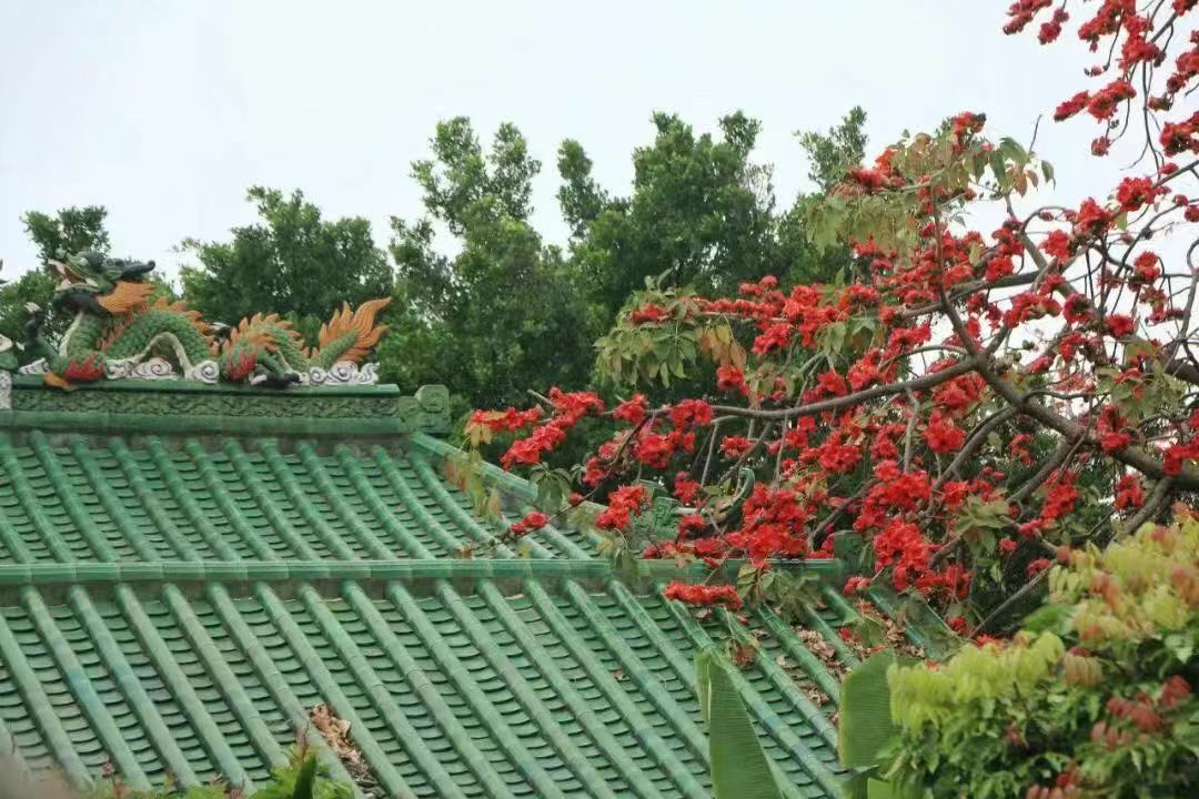 阜沙大有北帝庙实景照片