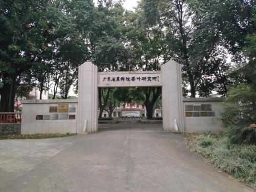 英德茶叶世界旅行图片 1
