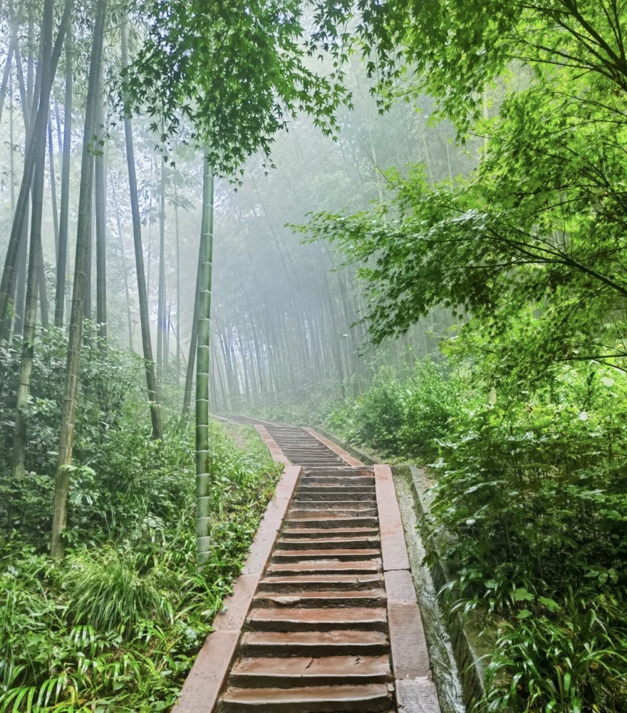 蜀南竹海景点图片