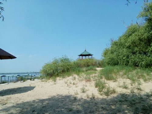 滨江湿地金沙滩风景区旅行图片 2