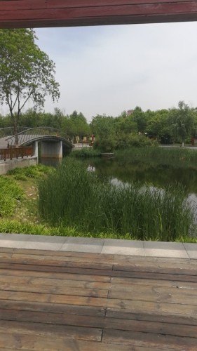 容园公园旅行图片 1