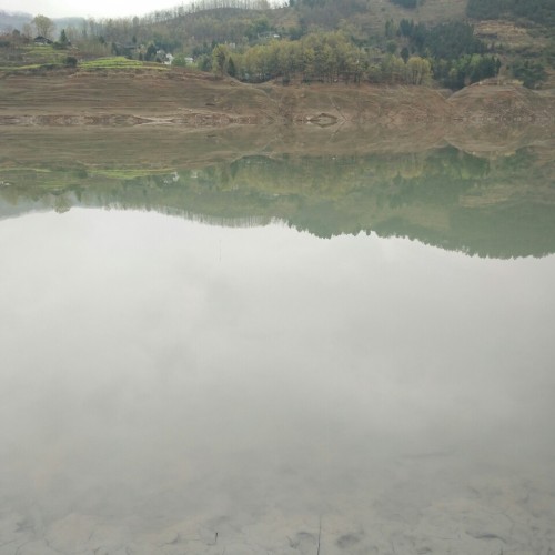 白龙湖旅行图片 1