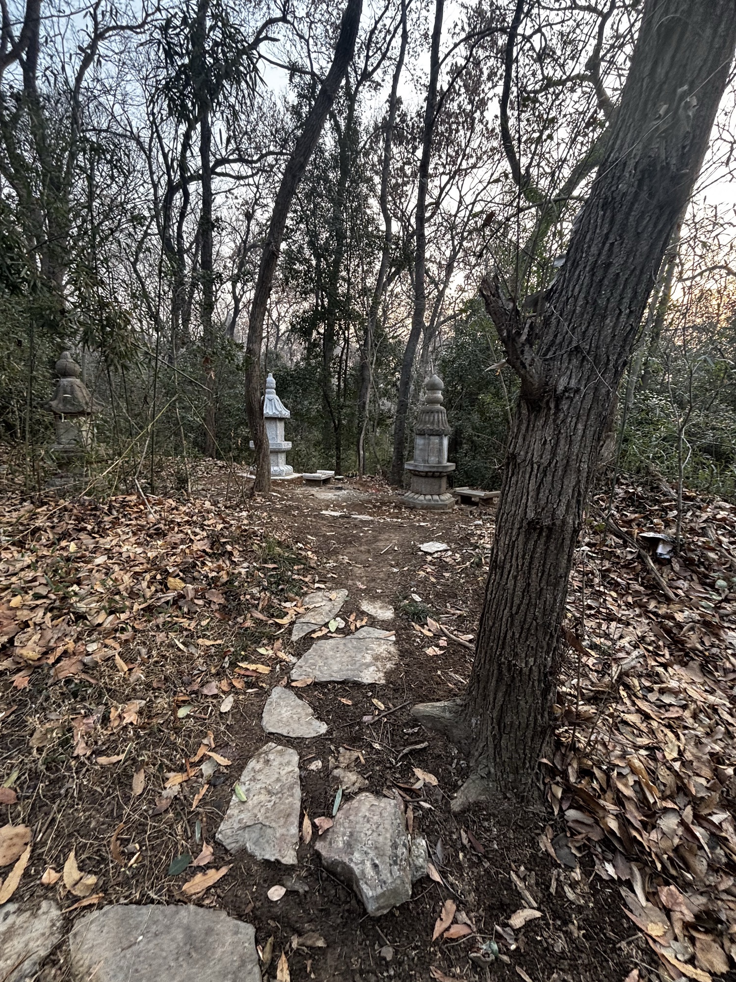 钟山风景区-灵谷寺祖师塔林实景照片