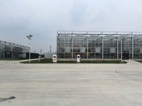 V云快充定州市东庞村农业嘉年华充电站