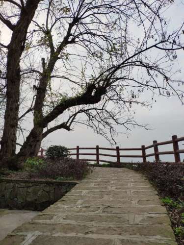 重庆市走马古镇关武庙旅行图片 2